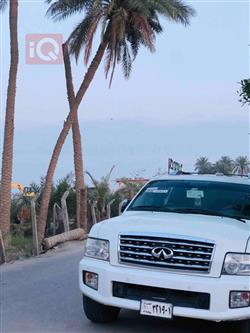 انفنتي QX56
